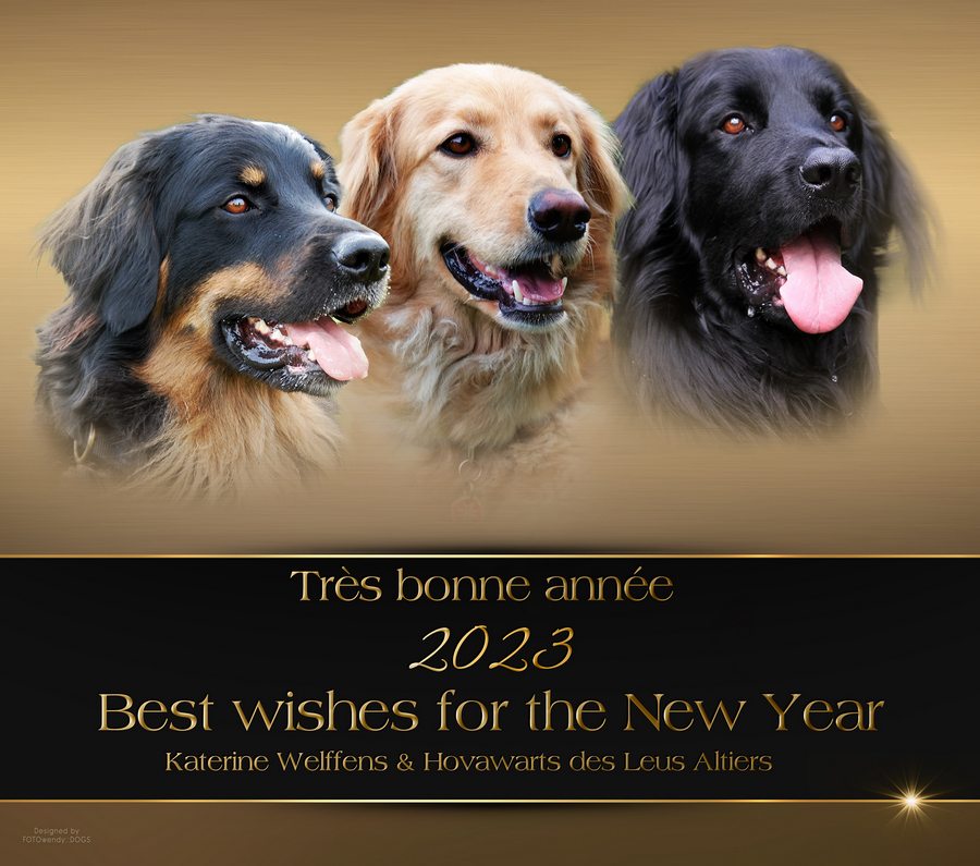 des Leus Altiers_Happy New Yeartn_