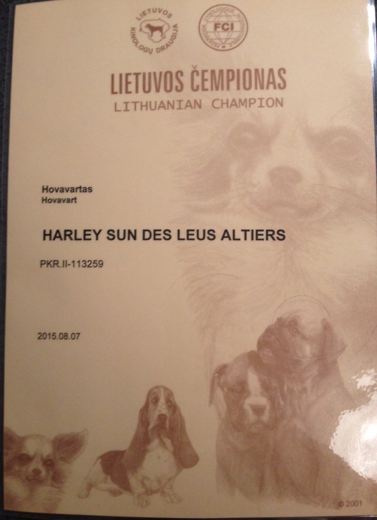 Harley Sun des Leus Altiers Ch Lituanie_edited