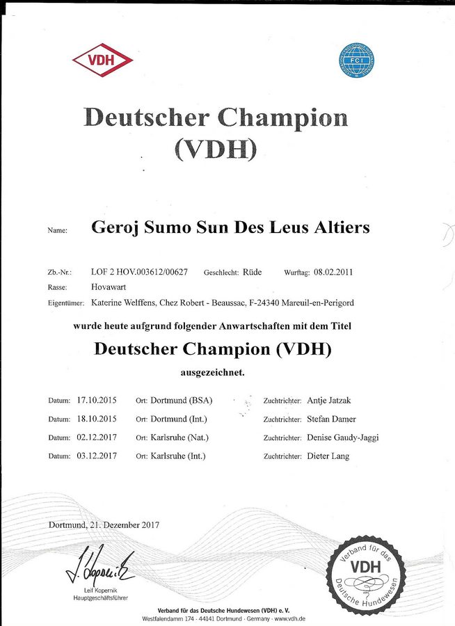 Geroj Sumo Sun des Leus Altiers Deutscher Champion VDH_tn