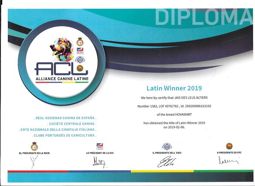 Jais des Leus Altiers Latin Winner 2019